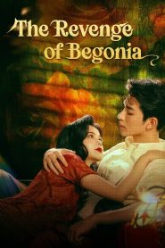 The Revenge of Begonia